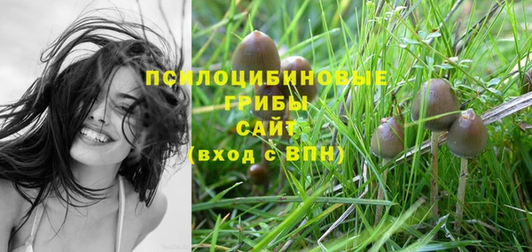 гашик Алзамай