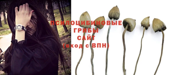 гашик Алзамай