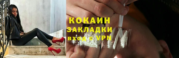 СК Алексин