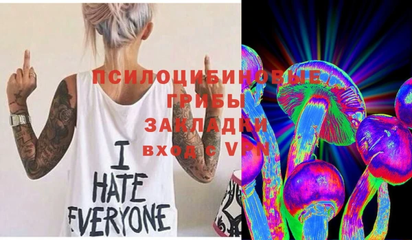 амфетамин Алексеевка