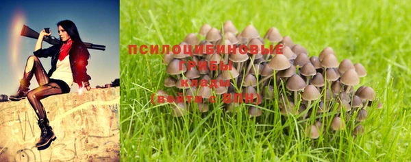 СК Алексин