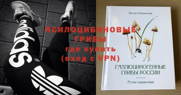 гашик Алзамай
