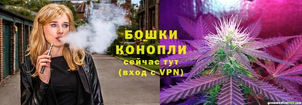 гашик Алзамай