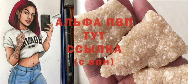 стаф Осташков