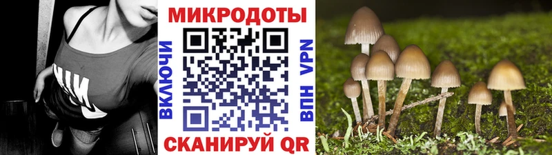 Псилоцибиновые грибы Psilocybine cubensis  hydra сайт  Серов 